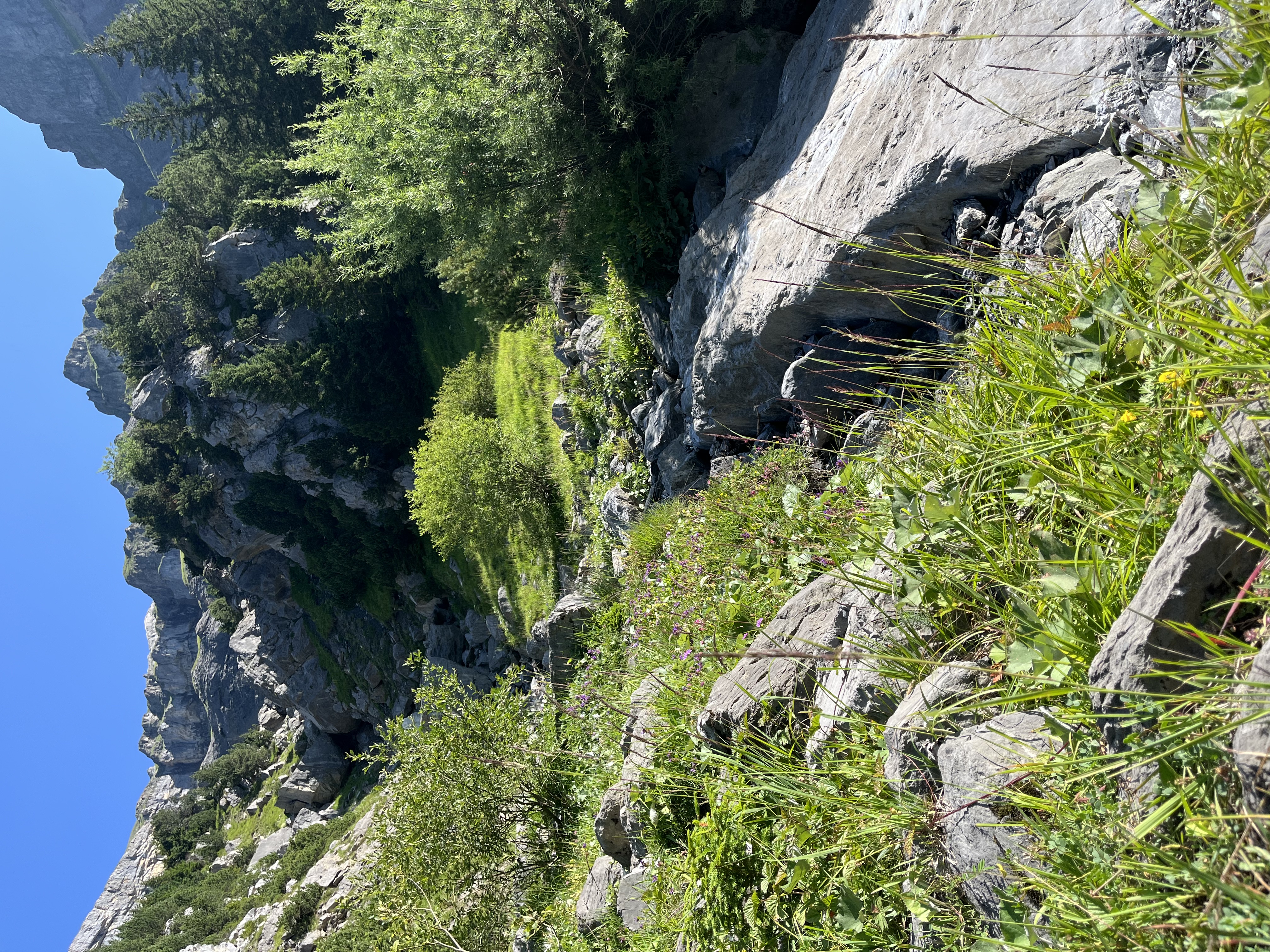 Alpine cliff with vegetation, Panorama Trail