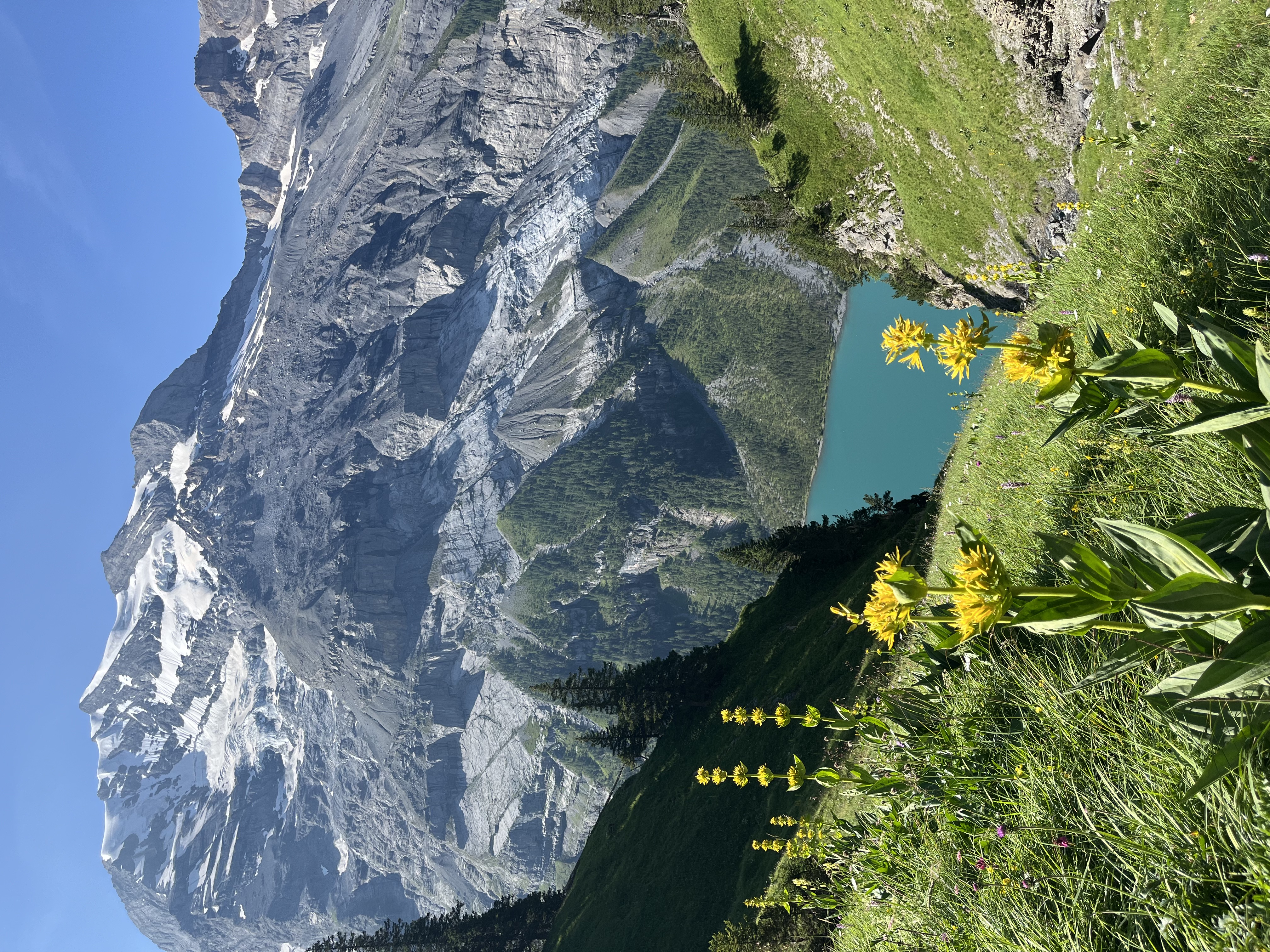 Hikers at viewpoint above Oeschinensee