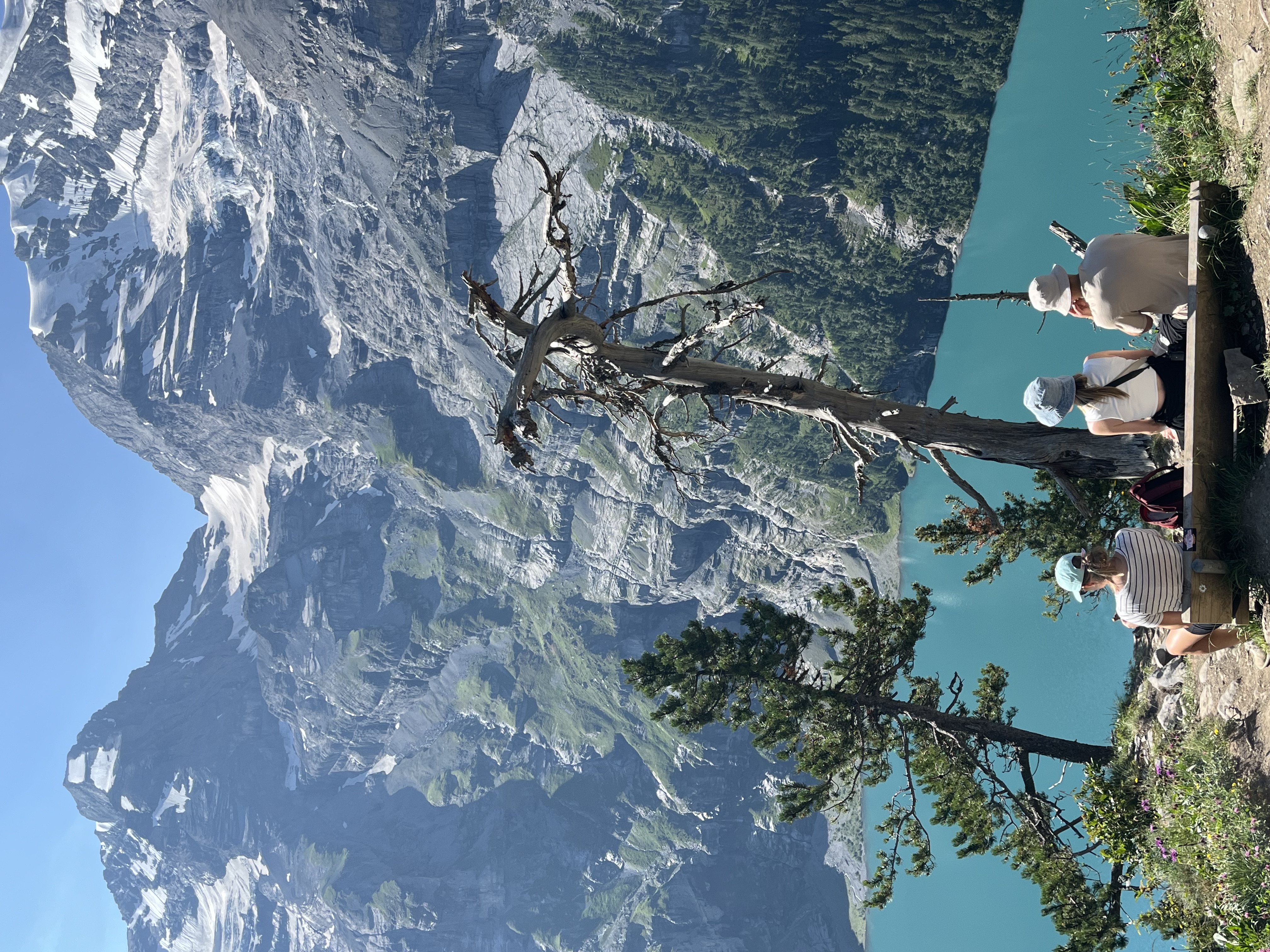 Dried thistle heads with cliff and lake below